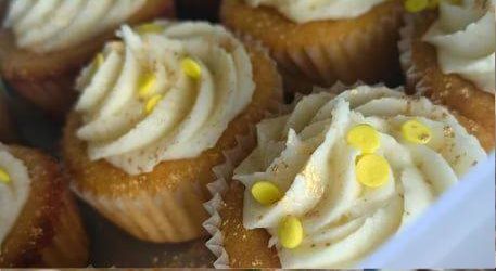 Pam Cakes-Vanilla Cupcake